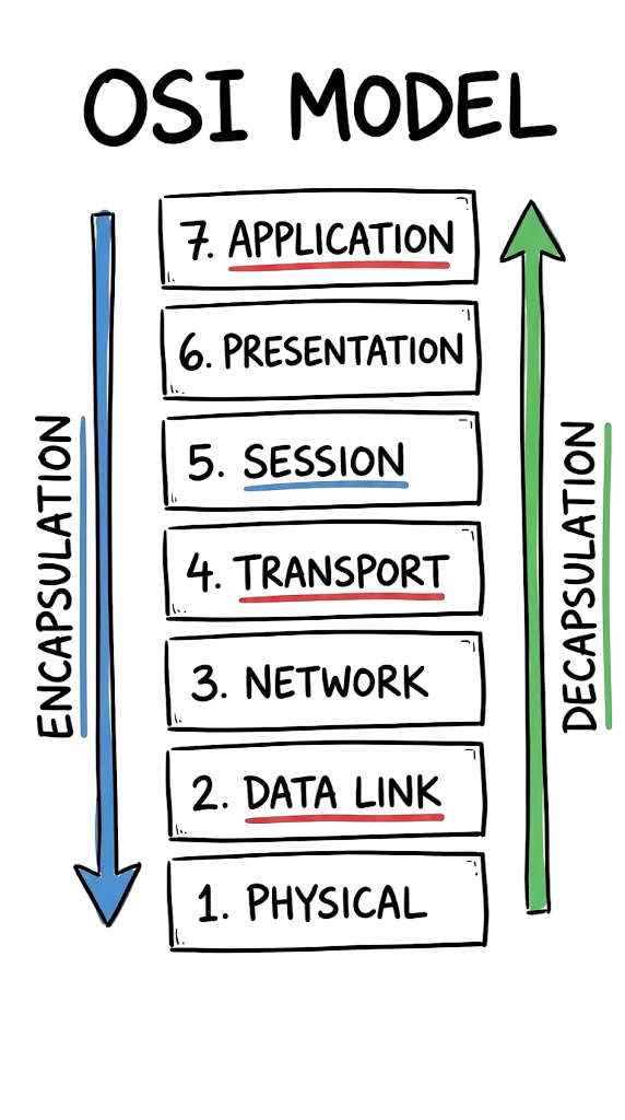 A hand-drawn diagram of the OSI model showing all 7 layers and data flow.