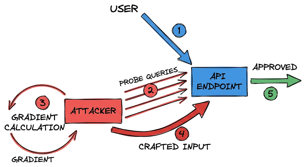 Flowchart detailing the step-by-step data flow of adversarial machine learning attacks against an API.